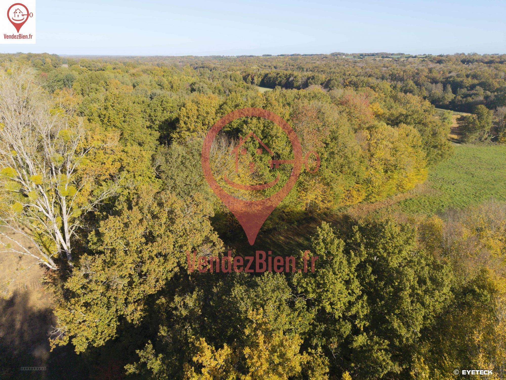 Etang pour la pêche - 5200 m2 sur terrain 9062 m2 — photo 10