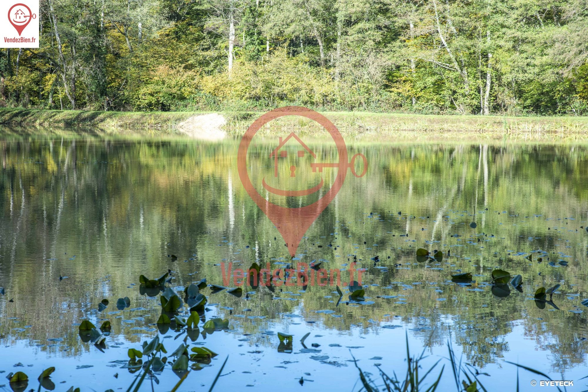Etang pour la pêche - 5200 m2 sur terrain 9062 m2 — photo 18
