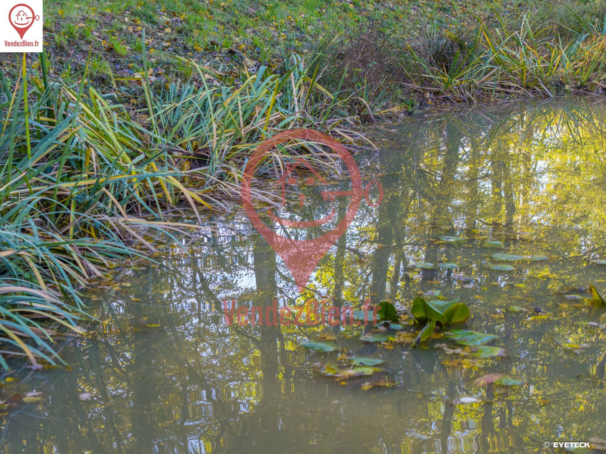 Etang pour la pêche - 5200 m2 sur terrain 9062 m2 — photo 13