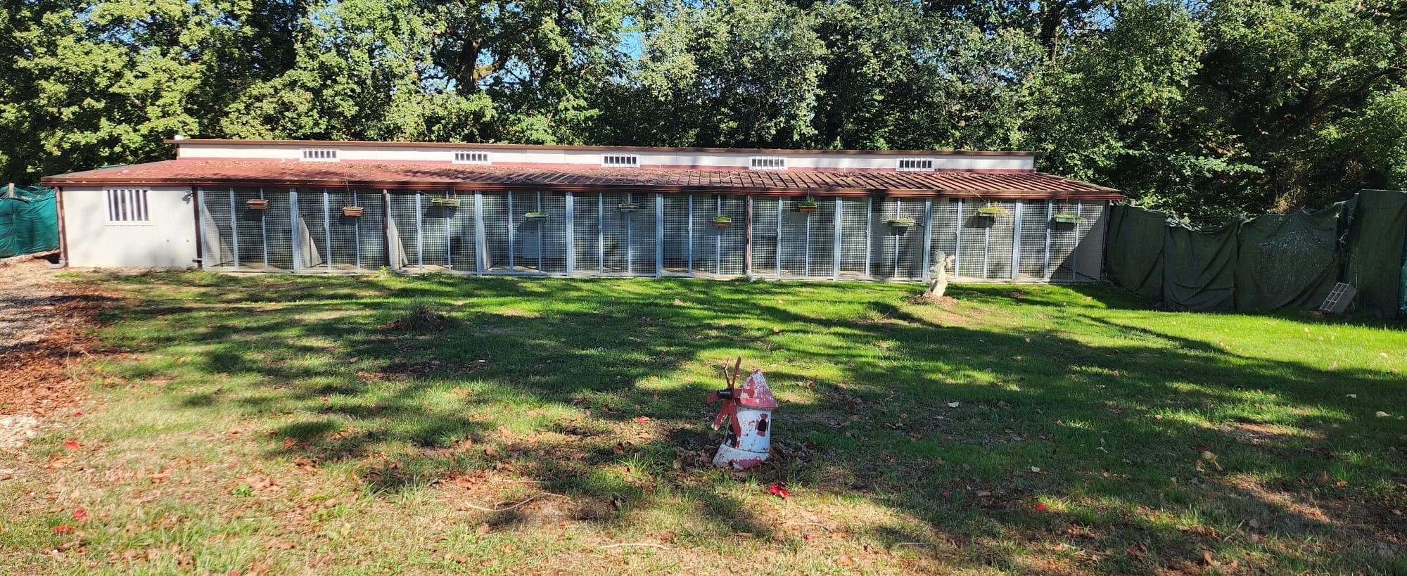 Maison d’habitation avec appartement indépendant et piscine sur 5 356 m2 de terrain — photo 16