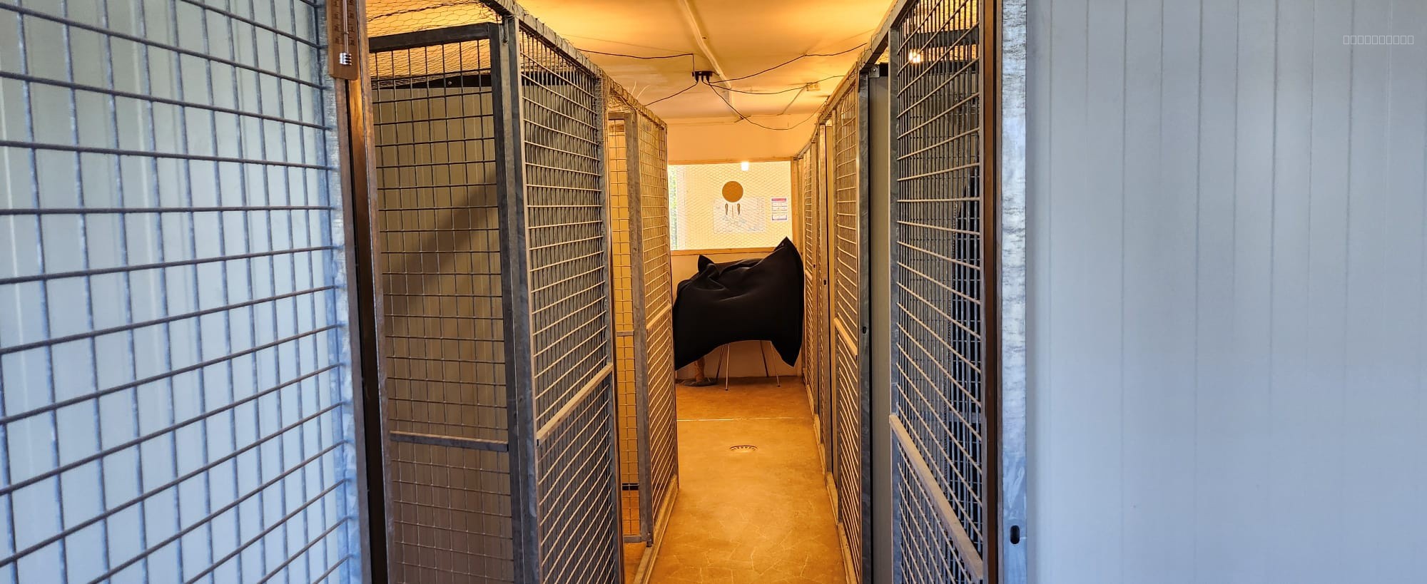 Maison d’habitation avec appartement indépendant et piscine sur 5 356 m2 de terrain — photo 19