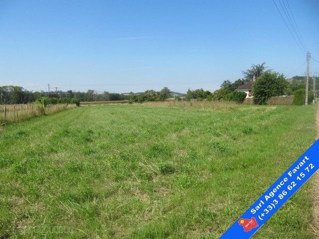 Terrain de loisirs — photo 2