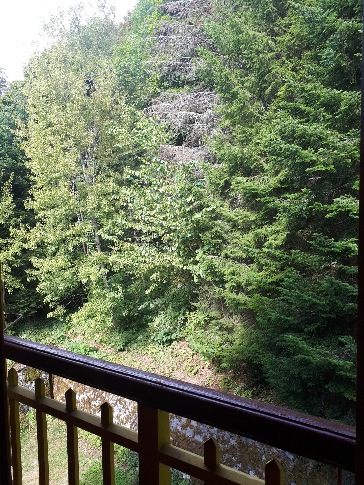 Beau T2 rénové de 29 m2 avec balcon et belle vue dégagée (OFFRE ACCEPTÉE) — photo 13
