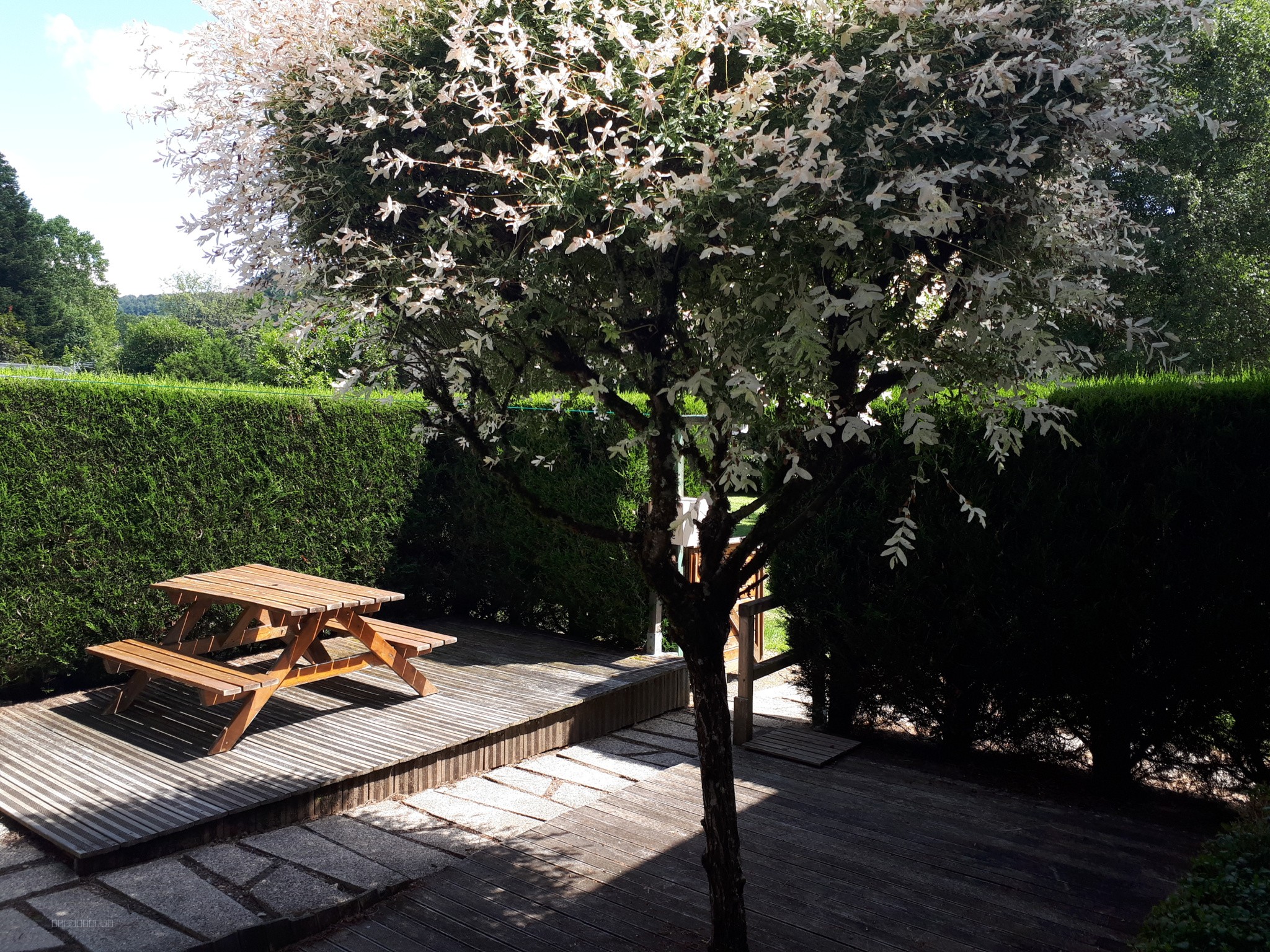 Agréable T2 en duplex de 33 m2 avec jardin privatif et parking — photo 2