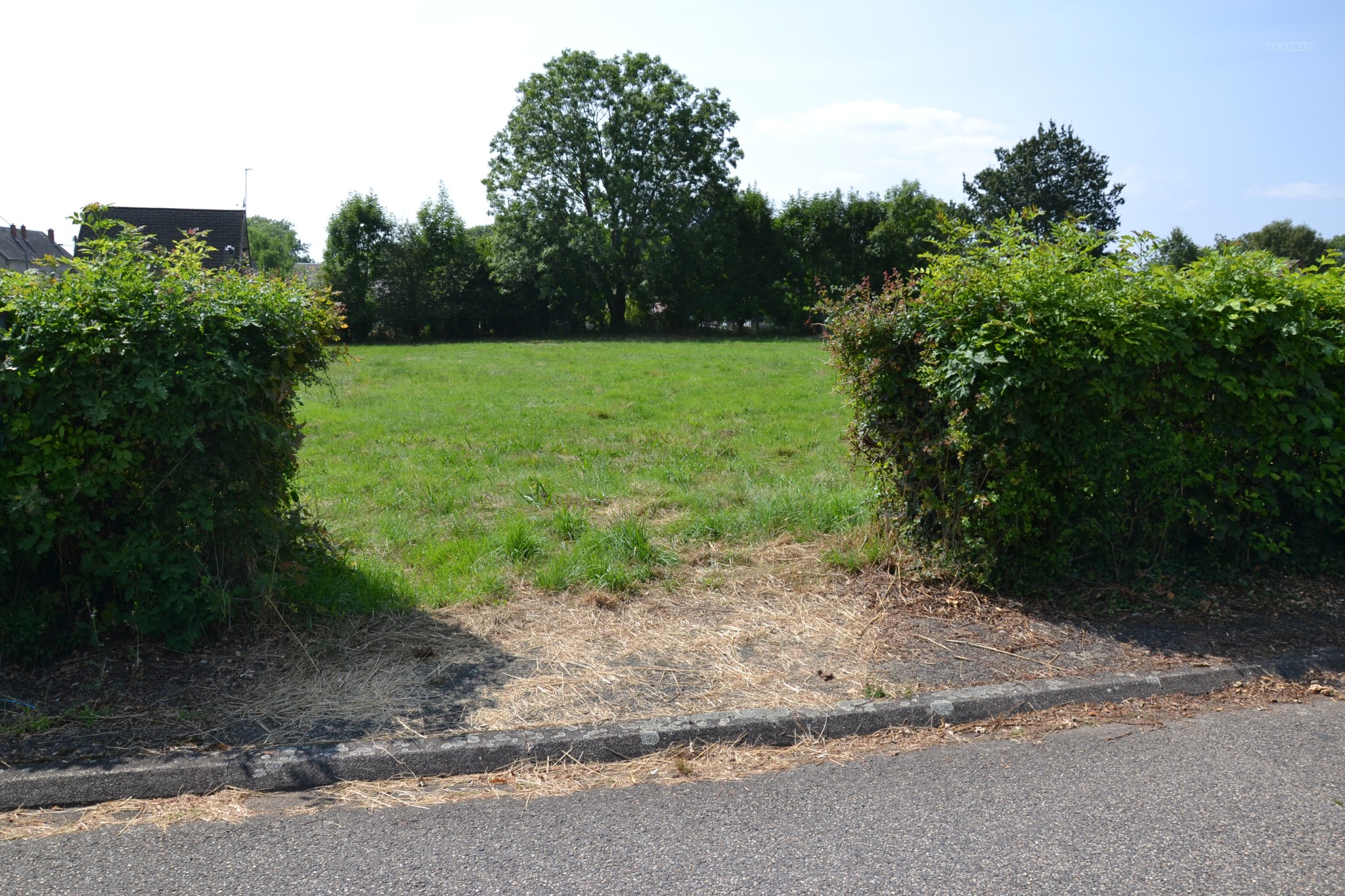 Beau terrain plat constructible de 1.956 m2 proche Sancy — photo 5