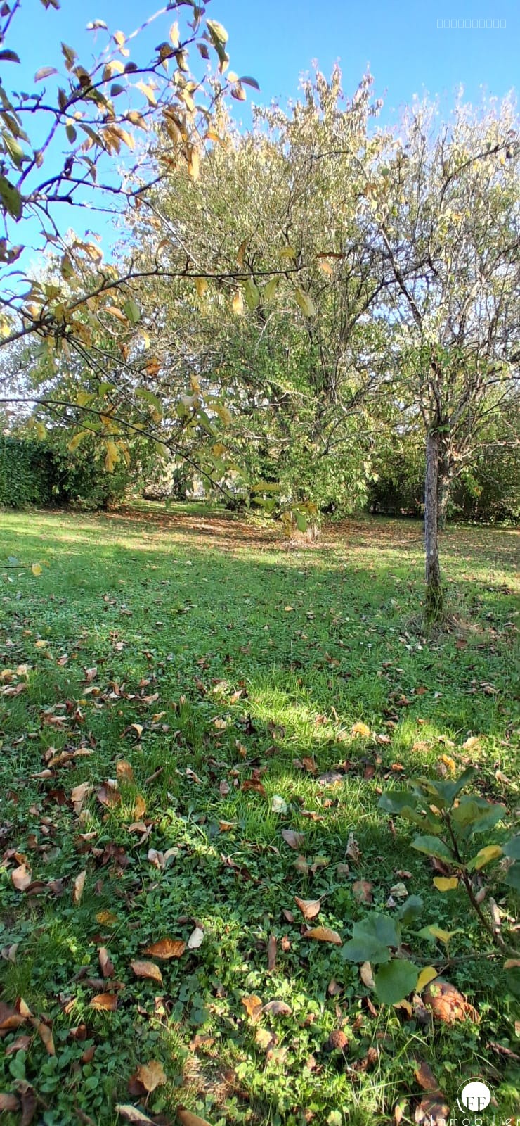 Maison de ville 100m2 - Jouy sur Morin — photo 3