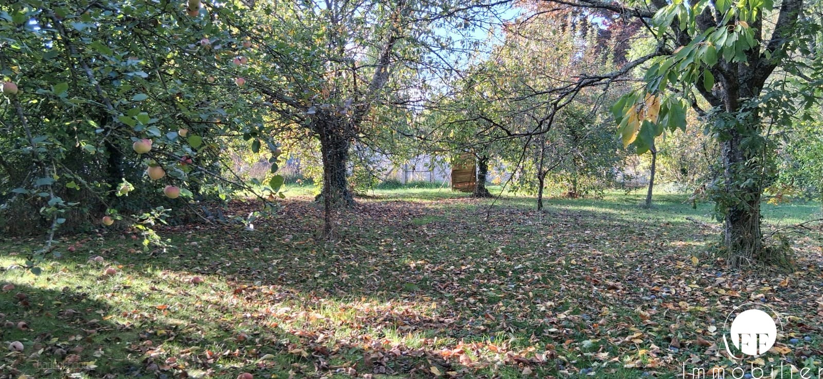 Maison de ville 100m2 - Jouy sur Morin — photo 6