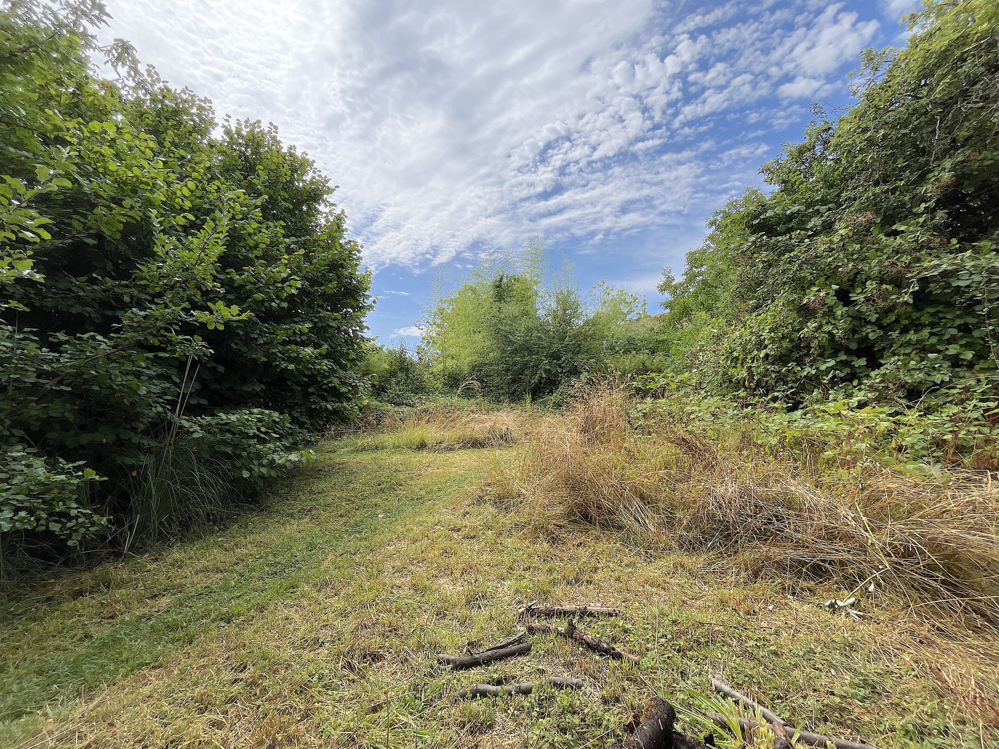 Maison avec dépendances et Terrain constructible — photo 18