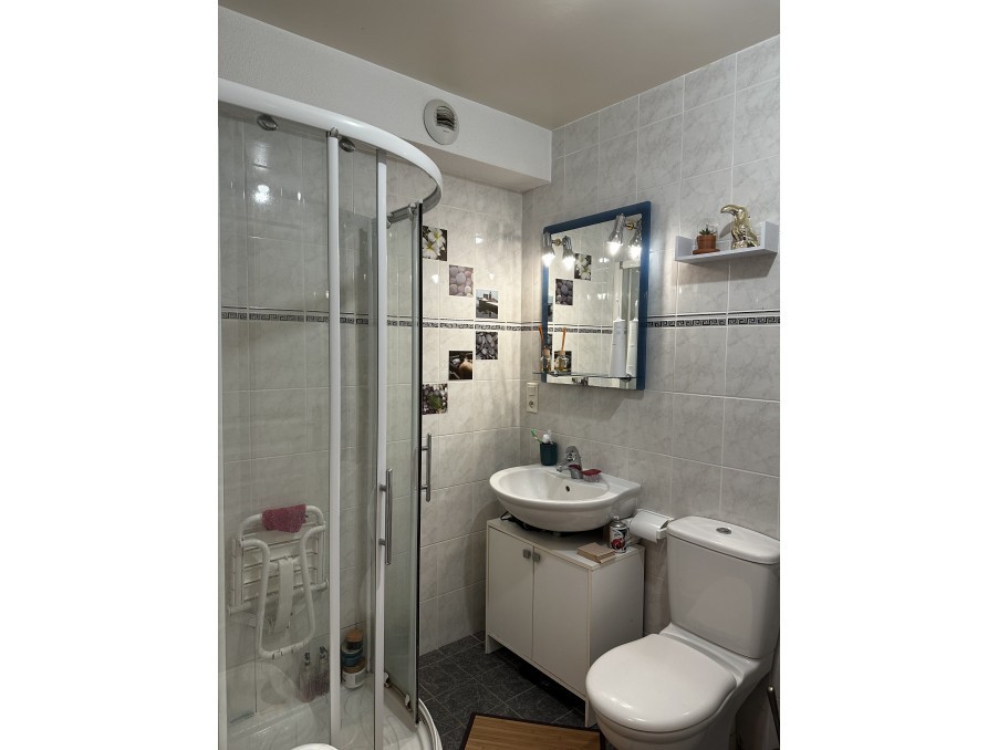 Appartement avec jardin Troyes — photo 5