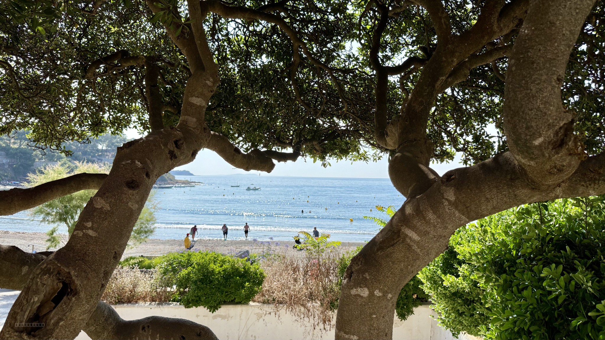 EXCLUSIVITÉ - RESTAURANT - VENTE DES MURS (650M2) SUR LA MER — photo 4