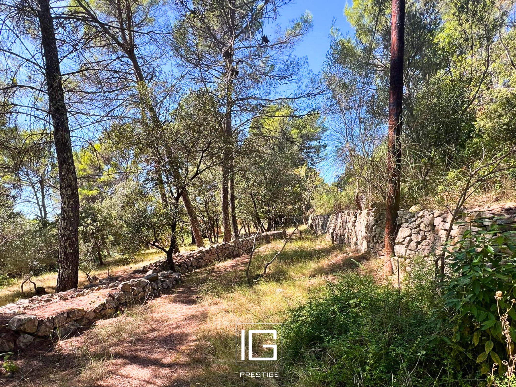 Maison provençale avec piscine, garage et terrain de 4600m2 — photo 5