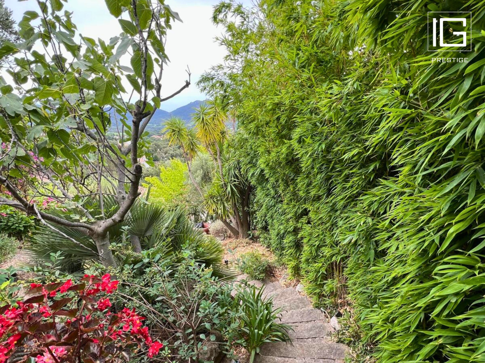 Maison en vue dominante avec piscine naturelle, jardin paysager et studio indépendant — photo 4