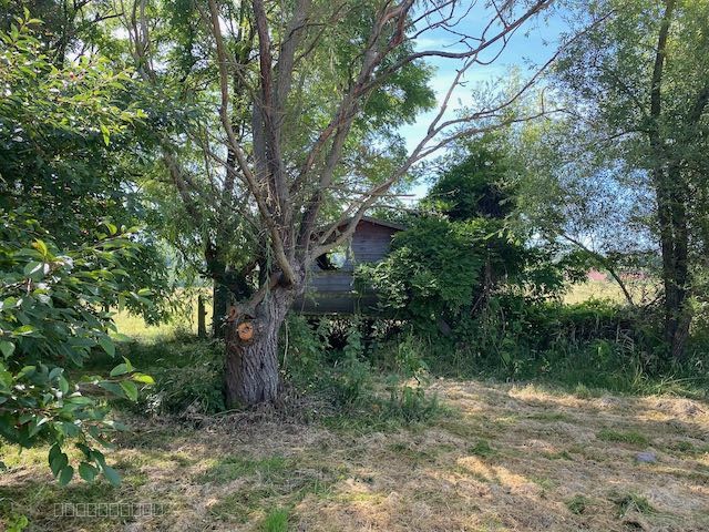 Grand terrain DE LOISIR ARBORÉ — photo 16