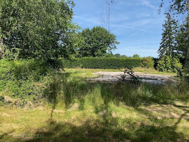 Grand terrain DE LOISIR ARBORÉ — photo 18