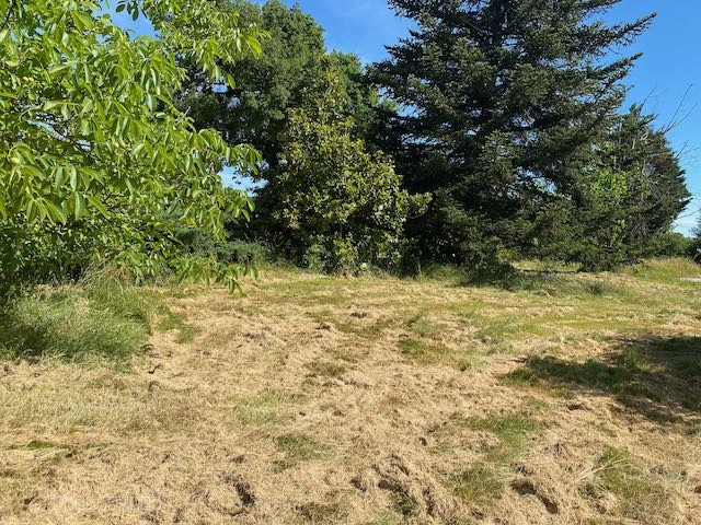 Grand terrain DE LOISIR ARBORÉ — photo 14