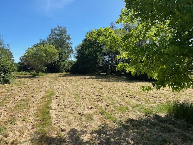 Grand terrain DE LOISIR ARBORÉ — photo 15