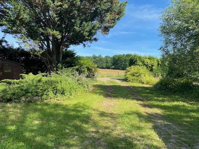 Grand terrain DE LOISIR ARBORÉ — photo 3