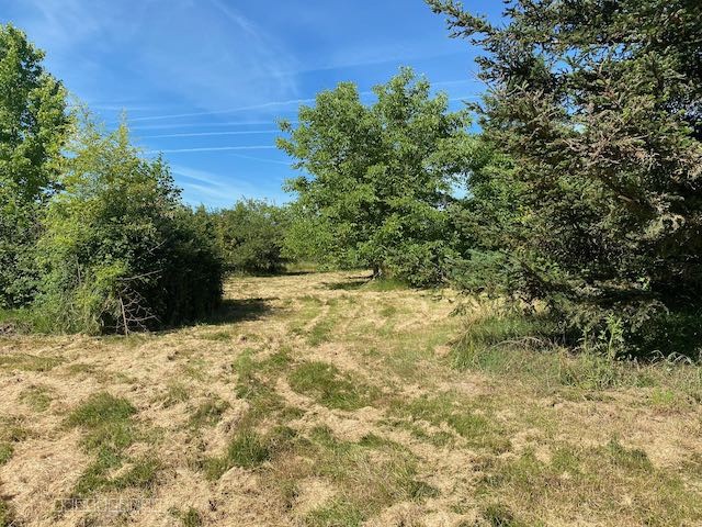 Grand terrain DE LOISIR ARBORÉ — photo 12