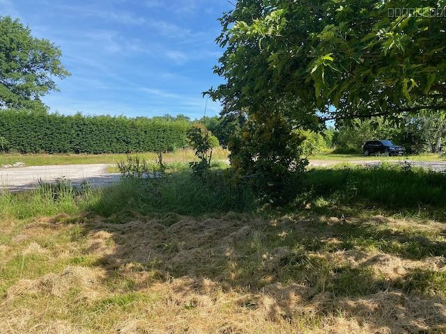 Grand terrain DE LOISIR ARBORÉ — photo 17
