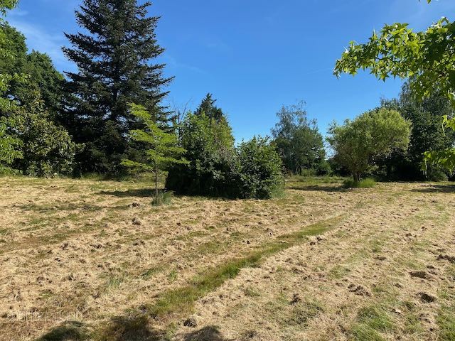 Grand terrain DE LOISIR ARBORÉ — photo 6