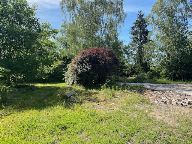 Grand terrain DE LOISIR ARBORÉ — photo 10