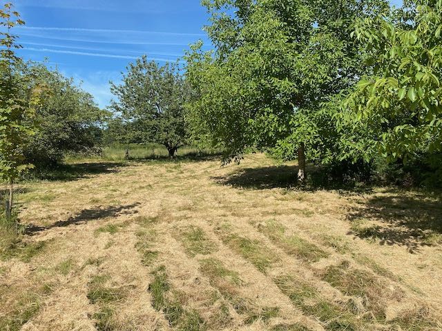 Grand terrain DE LOISIR ARBORÉ — photo 13