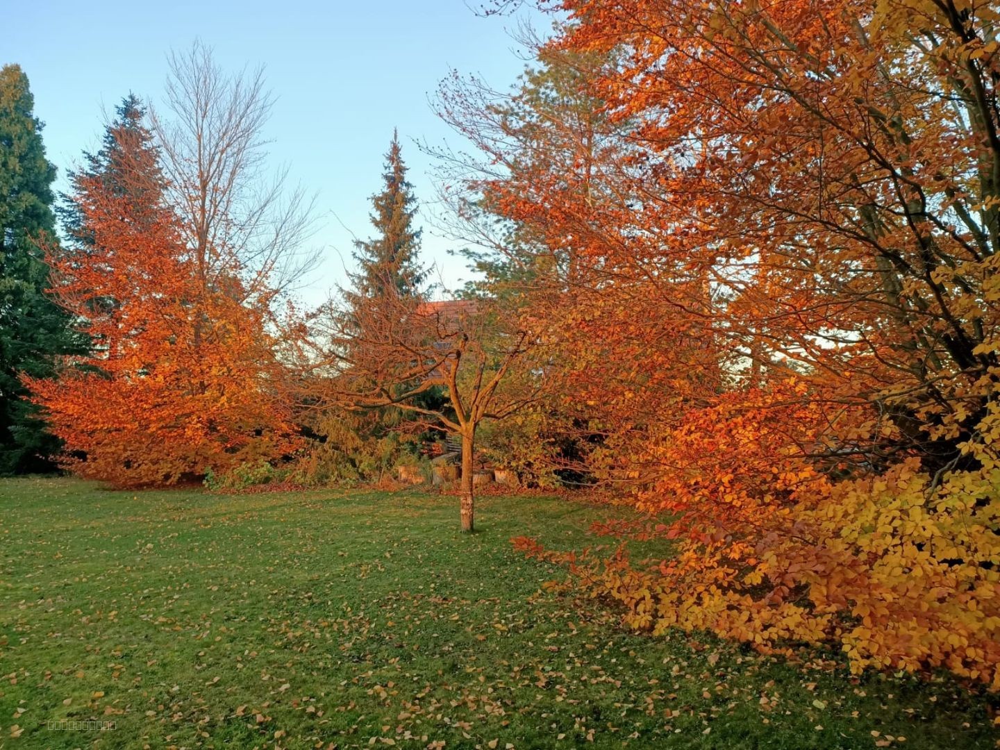 Terrain à bâtir, belle opportunité à proximité de BRUMATH — photo 2