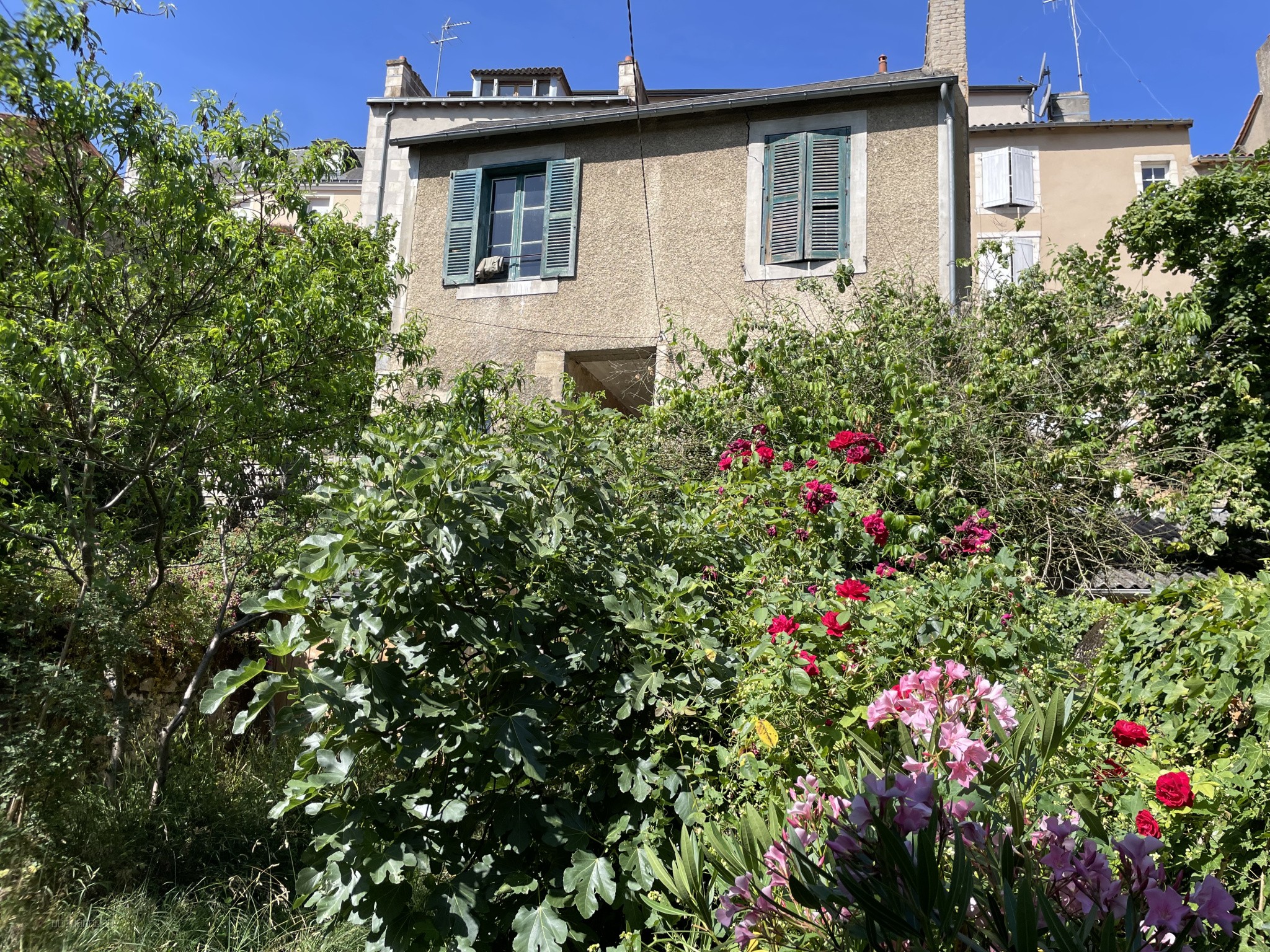POITIERS NOTRE-DAME MAISON DE CARACTERE + MAISON ANNEXE ET JARDIN — photo 2