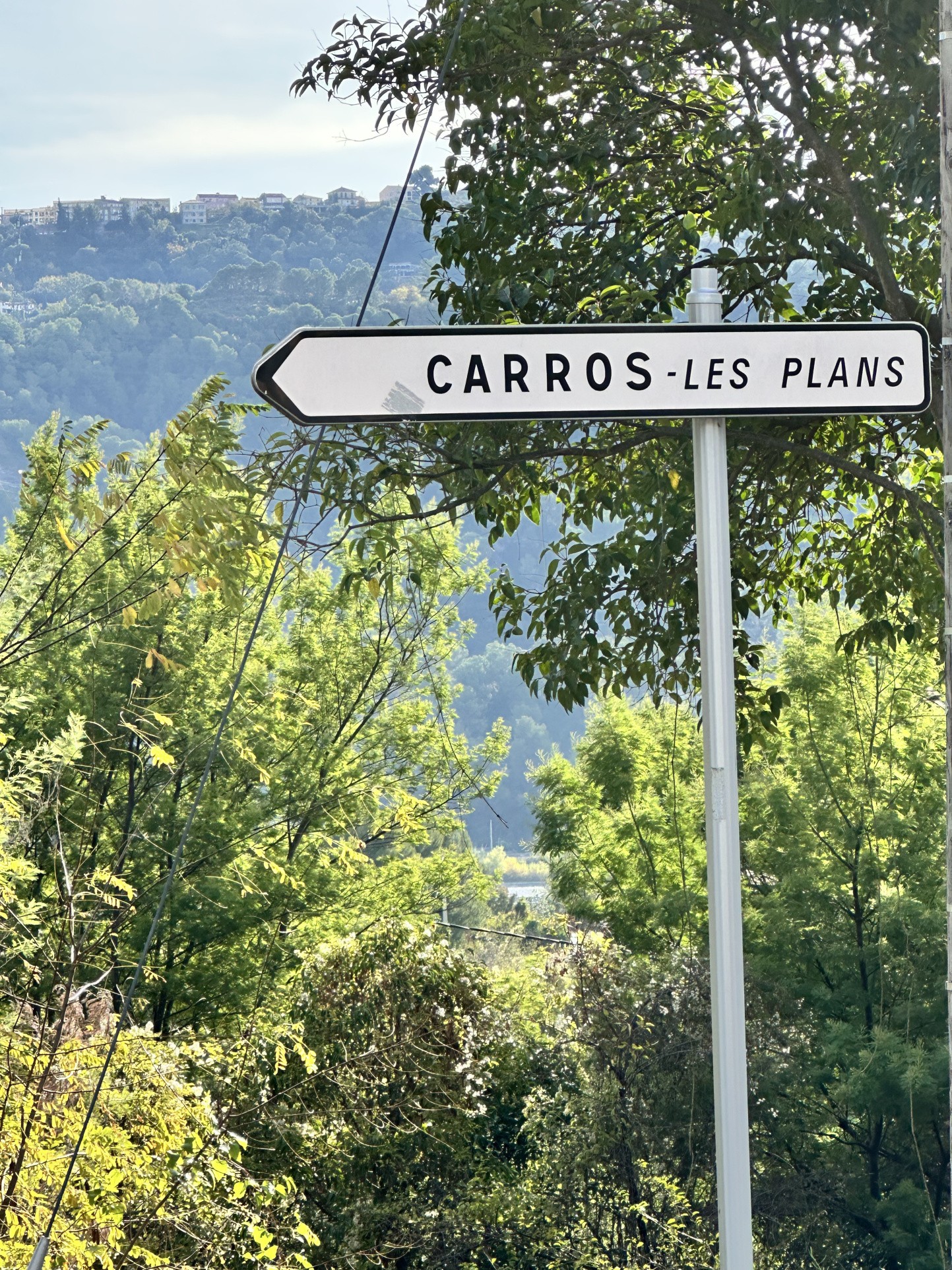 CARROS LES PLANS : OPPORTUNITE ! DERNIER LOT JOLI TERRAIN PLAT A BATIR VIABILISE — LIBRE CONSTRUCTEUR — photo 2