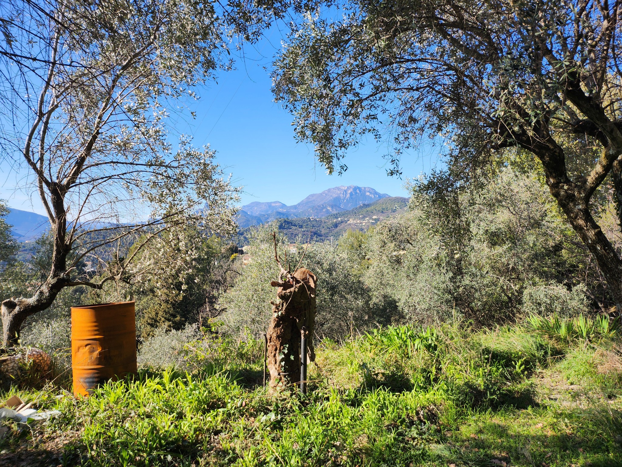 SAINT BLAISE : TERRAIN EN POSITION DOMINANTE OFFRANT UNE SUPERBE VUE SUR LES MONTAGNES, EXPOSE OUEST — photo 3