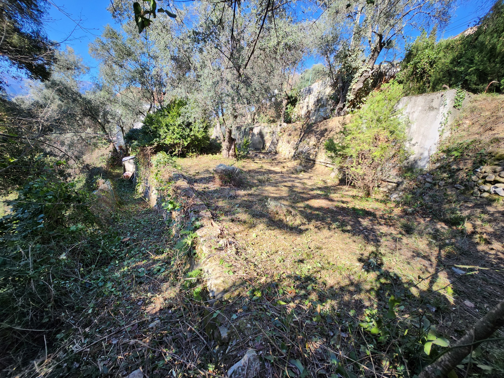 SAINT BLAISE : TERRAIN EN POSITION DOMINANTE OFFRANT UNE SUPERBE VUE SUR LES MONTAGNES, EXPOSE OUEST — photo 3