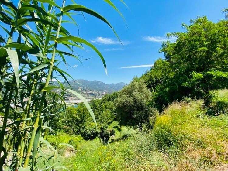 LE BROC:  TERRAIN DE 500 M2 VIABILISE VENDU AVEC PC POUR UNE VILLA MODERNE — photo 2