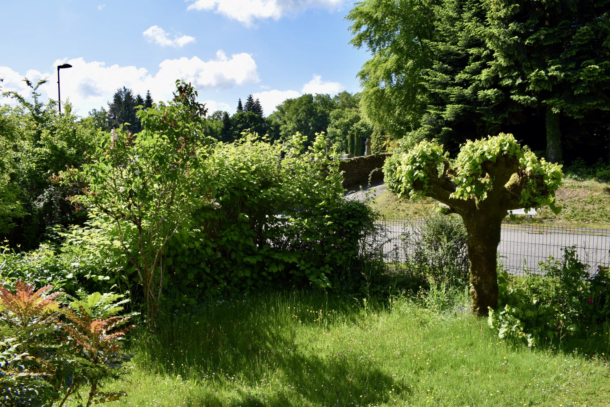 MAISON EN PIERRES DES ANNÉES 30 — photo 8