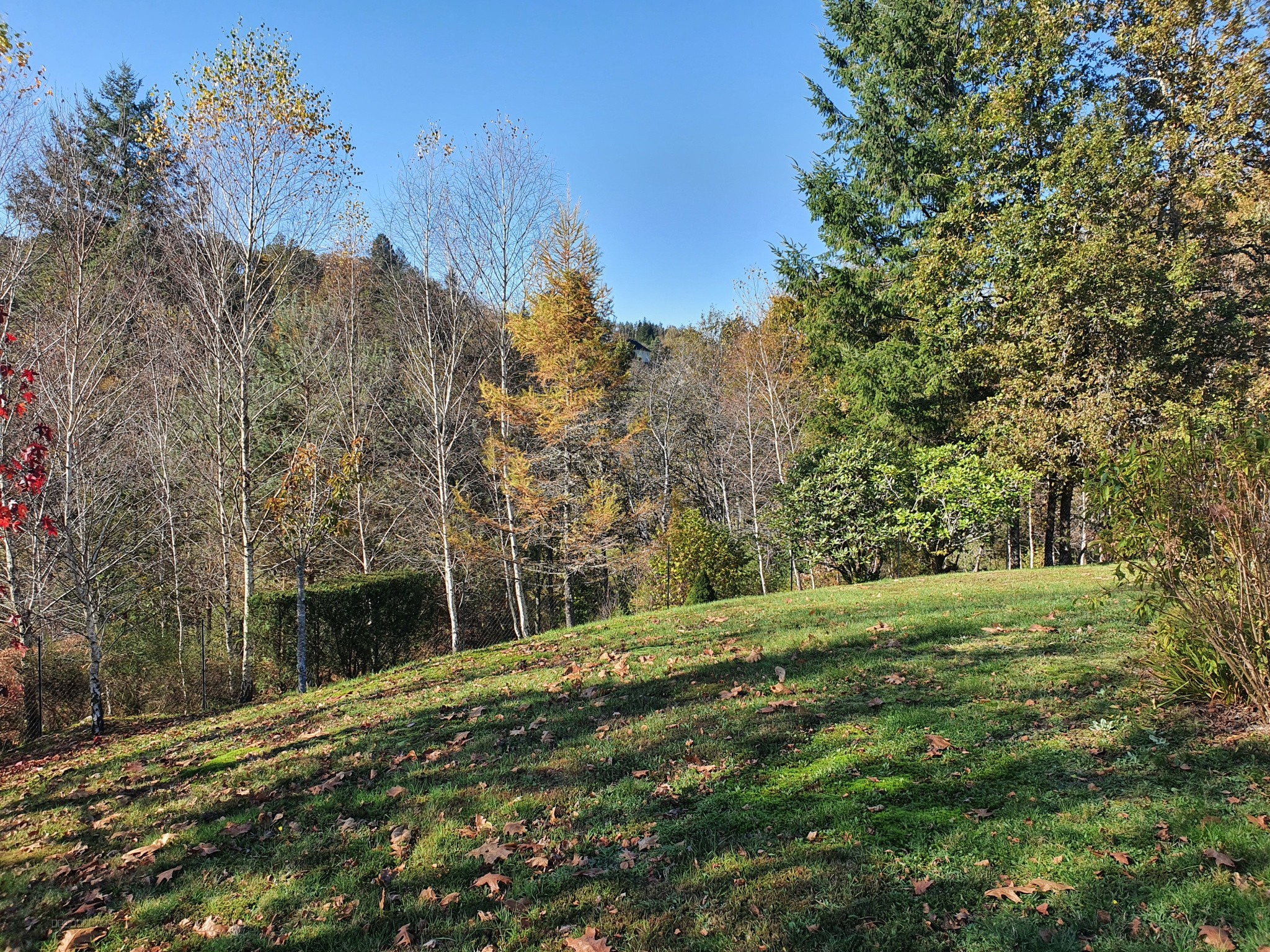 AGRÉABLE VILLA D'ARCHITECTE DANS UN CADRE DE VERDURE — photo 12