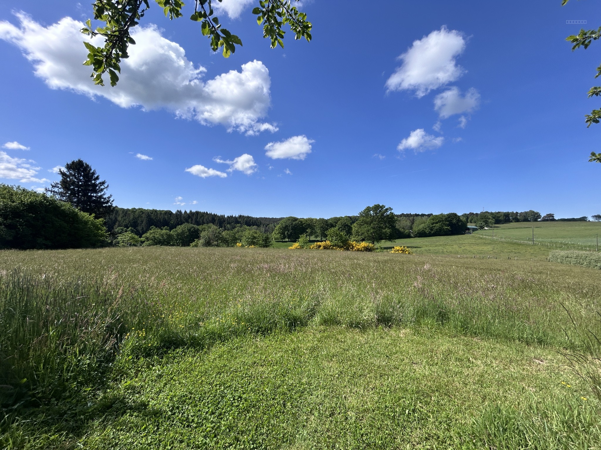 Terrain avec CU — photo 3