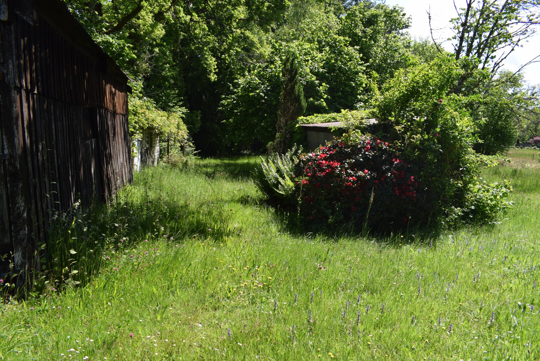 MAISON EN PIERRES DES ANNÉES 30 — photo 7