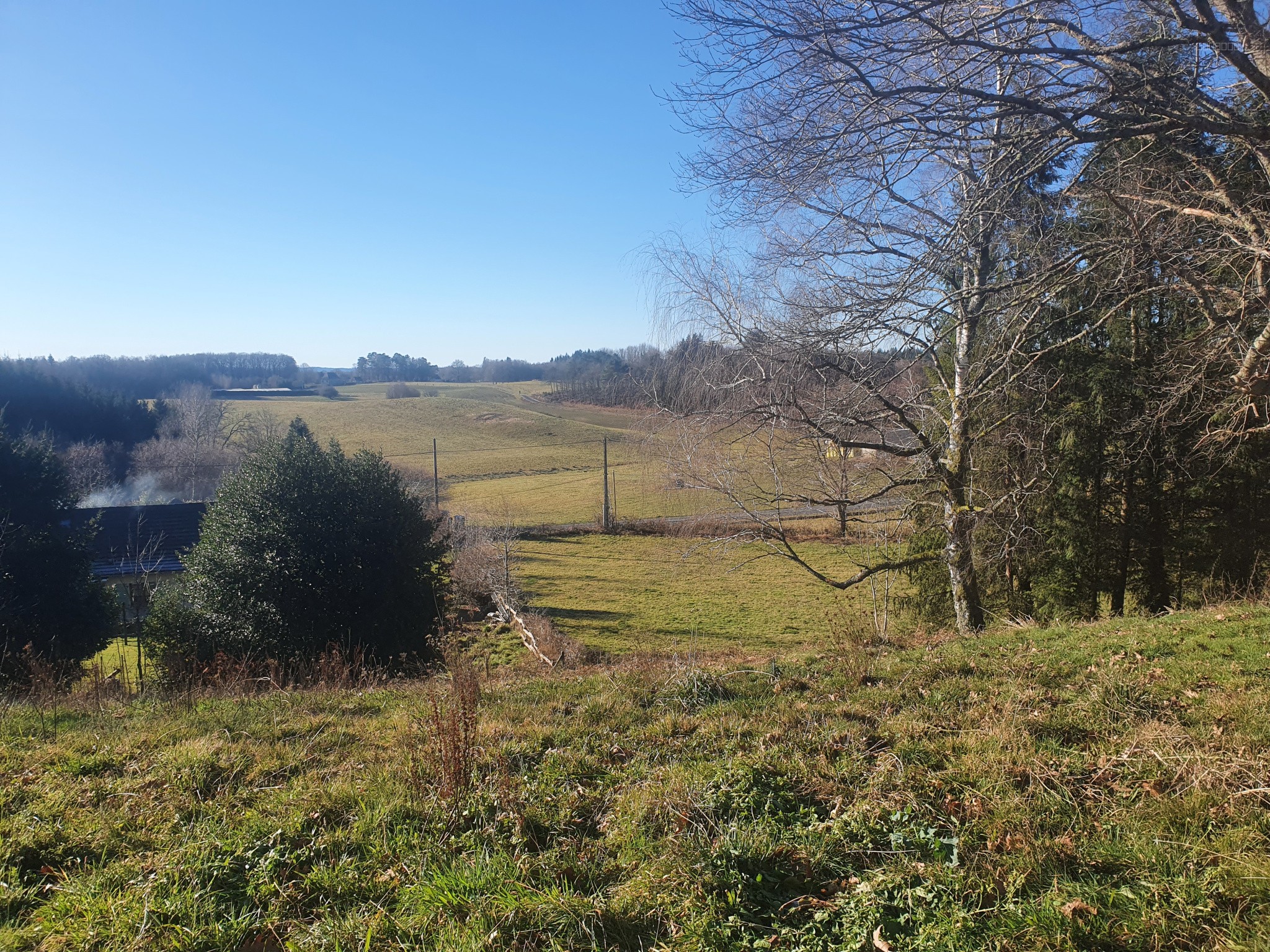 PROPRIÉTÉ EN XAINTRIE PROCHE COMMERCES, 16350 m2 ATTENANTS PRÉS ET BOIS. — photo 9