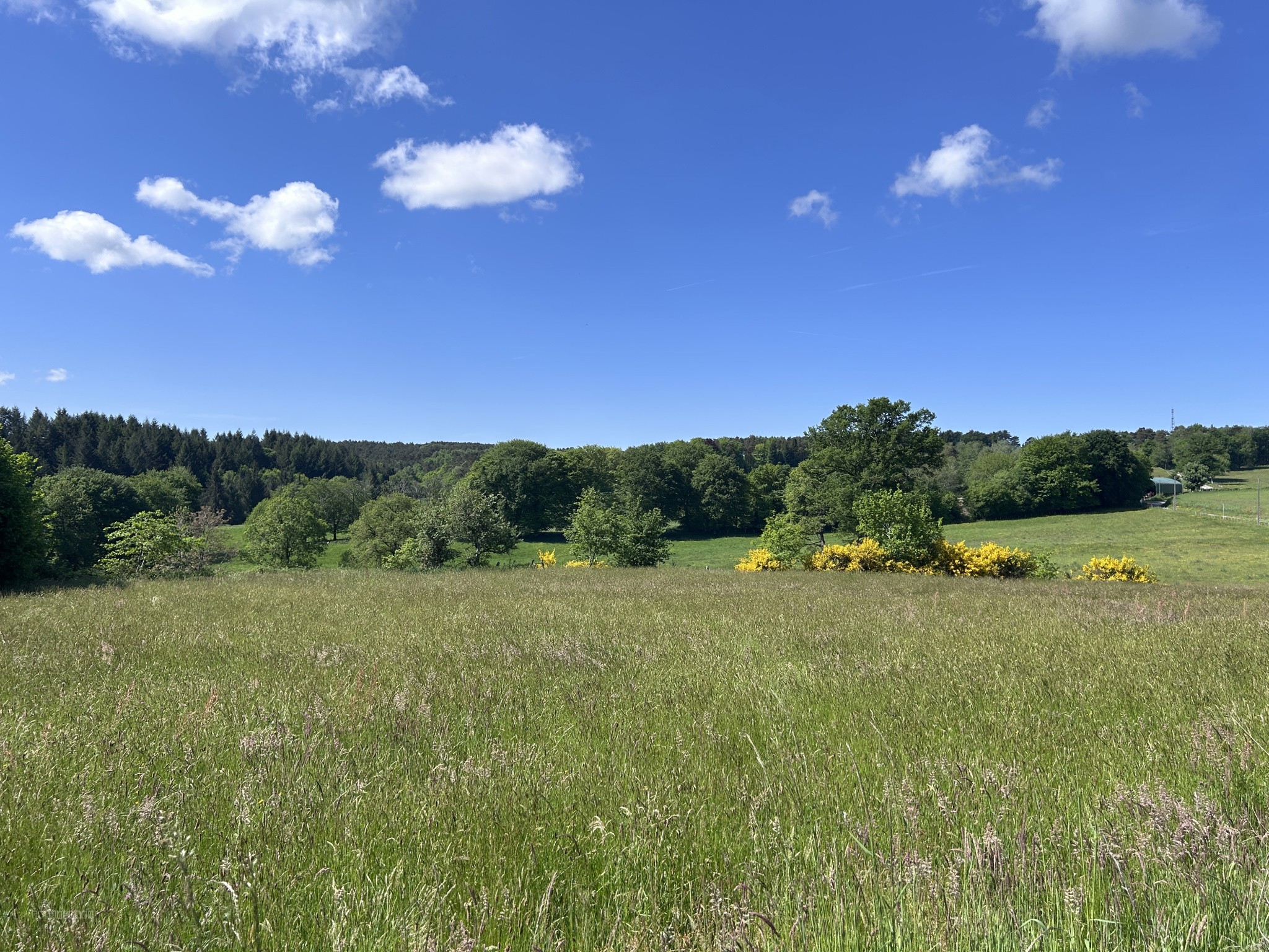 Terrain avec CU — photo 2