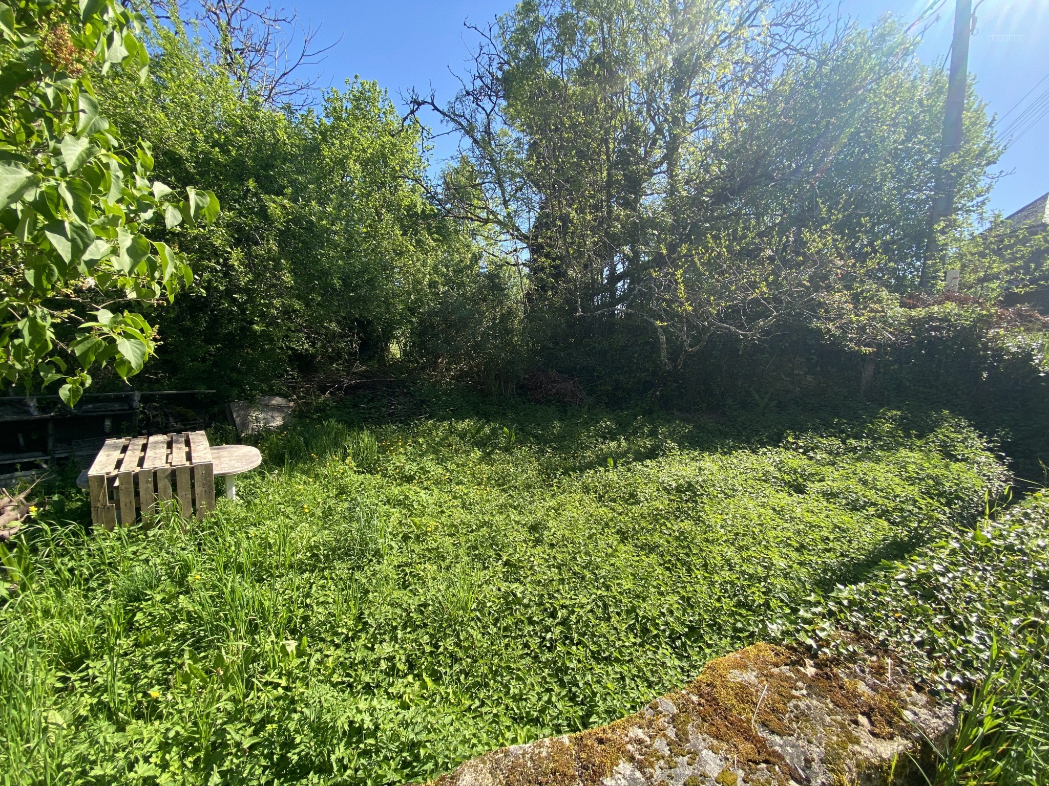 MAISON ET GRANGE — photo 13