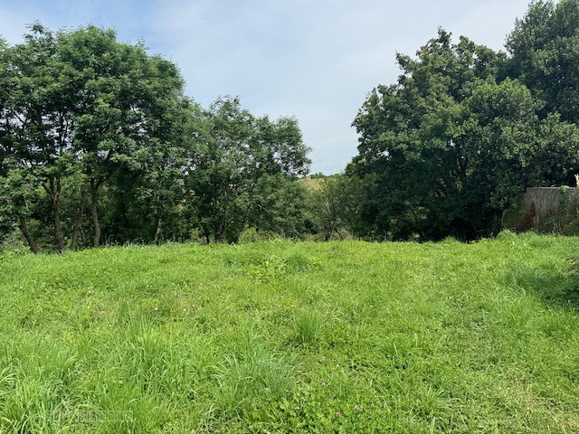 Terrain à bâtir avec vue exceptionnelle sur la rivière — photo 2