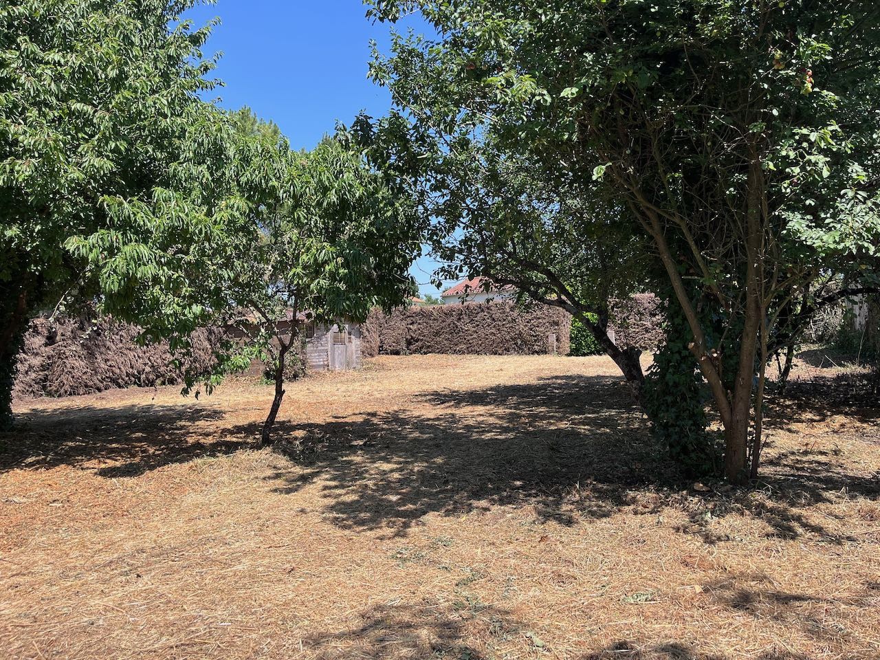 Terrain à bâtir, viabilisé. — photo 2