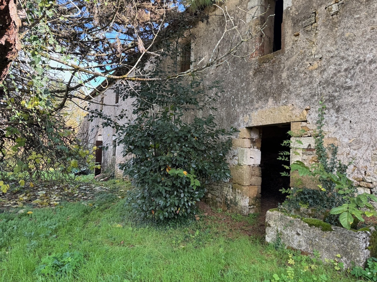 Maison de charme en pierre dans un havre de paix avec dépendance 270 m2 et piscine — photo 14