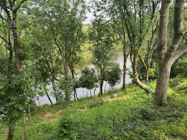Terrain à bâtir avec vue exceptionnelle sur la rivière — photo 3