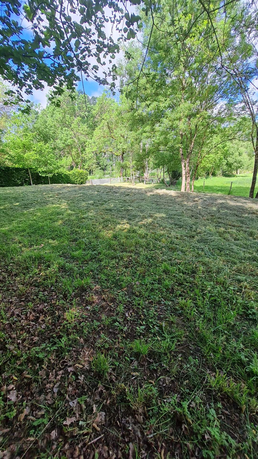 Agréable terrain de loisirs au bord du Lay — photo 2