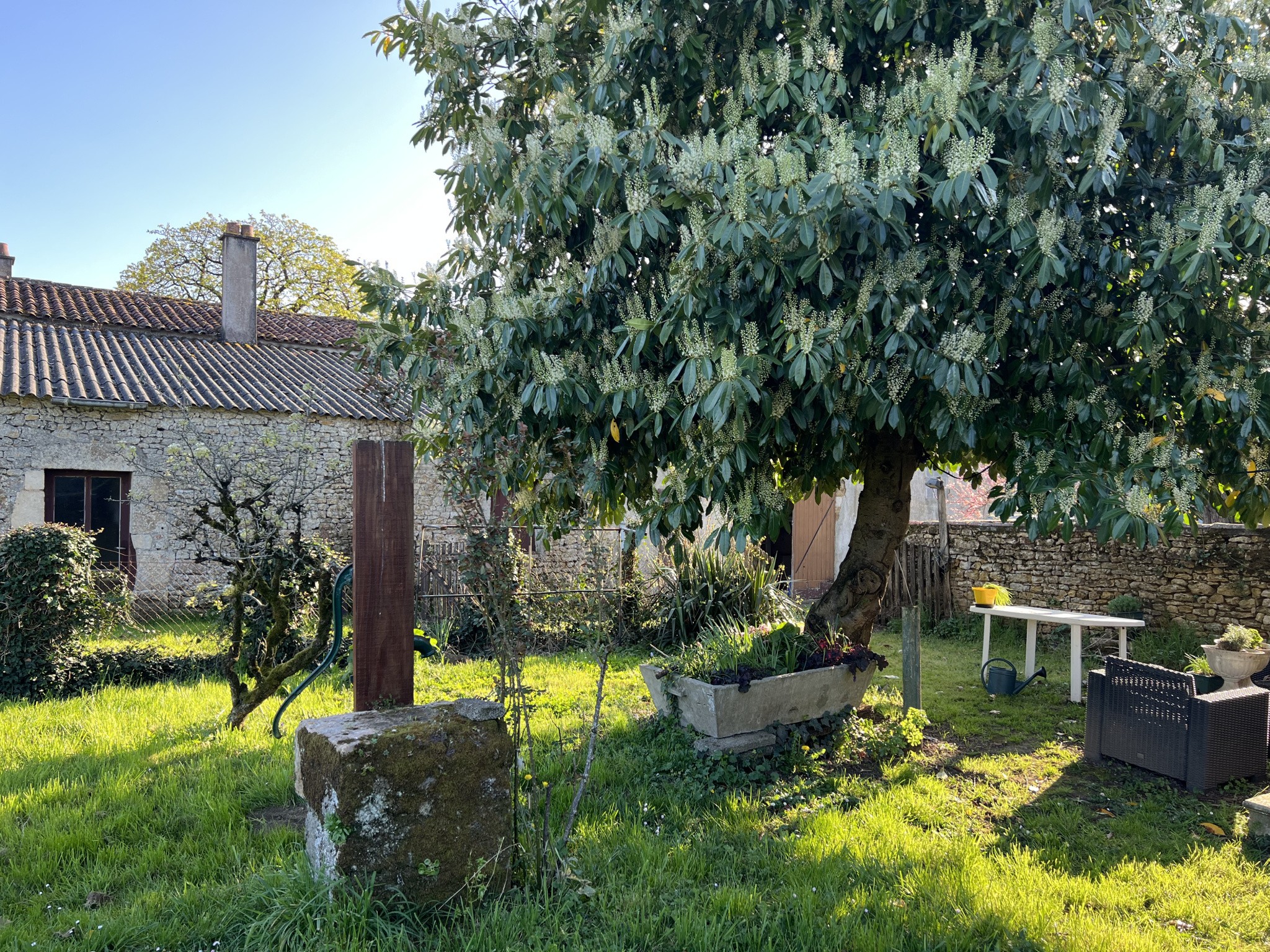 Maison en pierre en centre bourg — photo 17