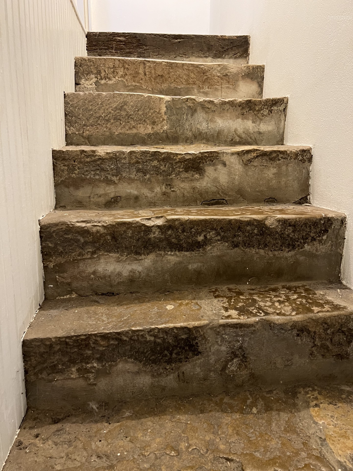 Maison en pierre en centre bourg — photo 9