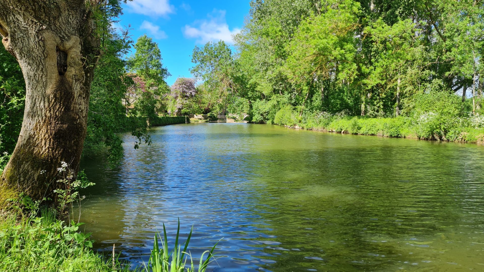 Agréable terrain de loisirs au bord du Lay — photo 4
