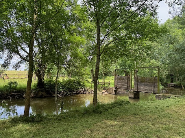 Terrain de loisirs en bord de rivière — photo 3