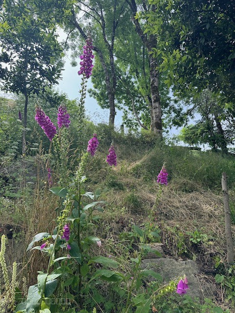 Terrain à bâtir avec vue exceptionnelle sur la rivière — photo 4