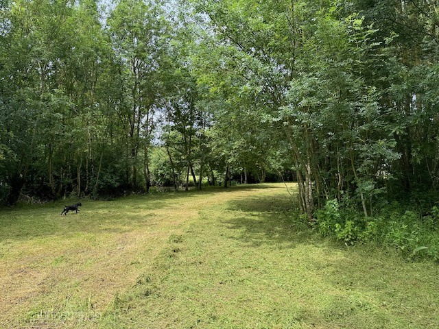 Terrain de loisirs en bord de rivière — photo 2